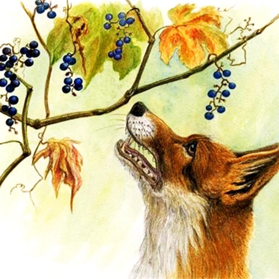 A Raposa e as Uvas